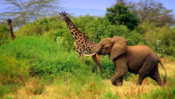 Egypt Kenya Tanzania 14 Days - 13 Nights