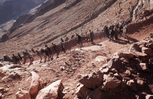 Nile cruise cairo - Alex - Sharm -St.Catherine - White Desert 17 Days - 16 Nights